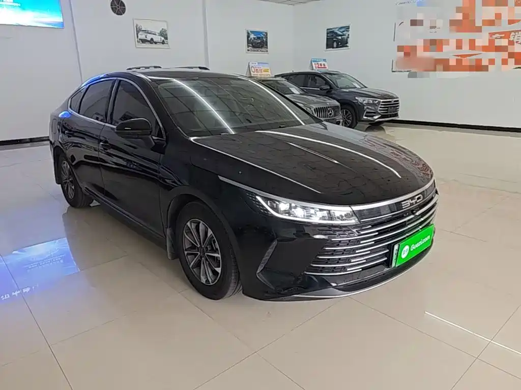 BYD Destroyer 05 — миниатюра 4