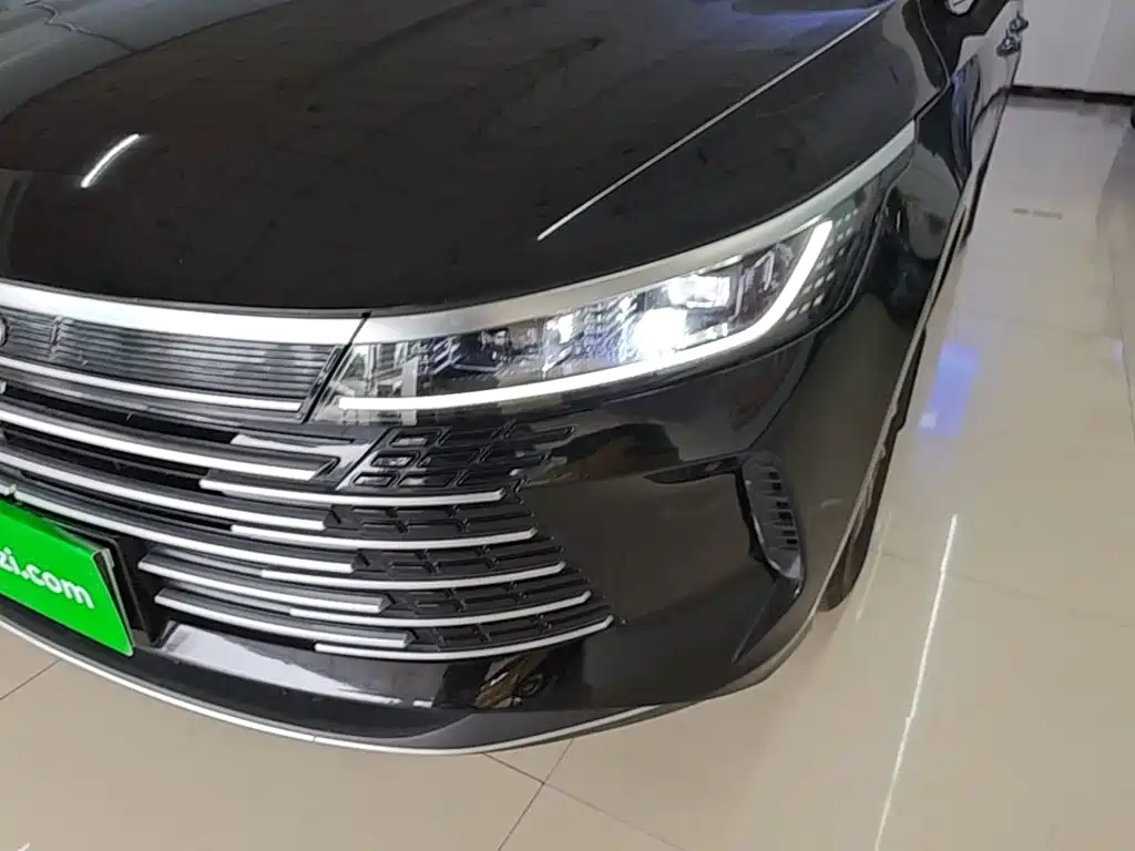 BYD Destroyer 05 — миниатюра 24