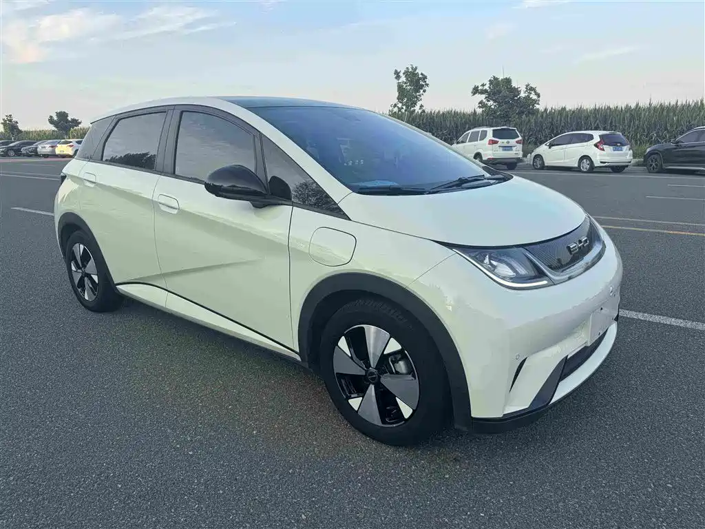 BYD Dolphin — миниатюра 2