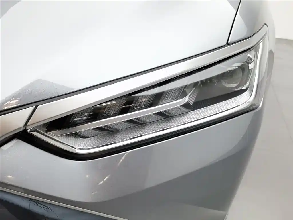 BYD Qin Plus PLUS 2024 DM-i 55KM Lead
