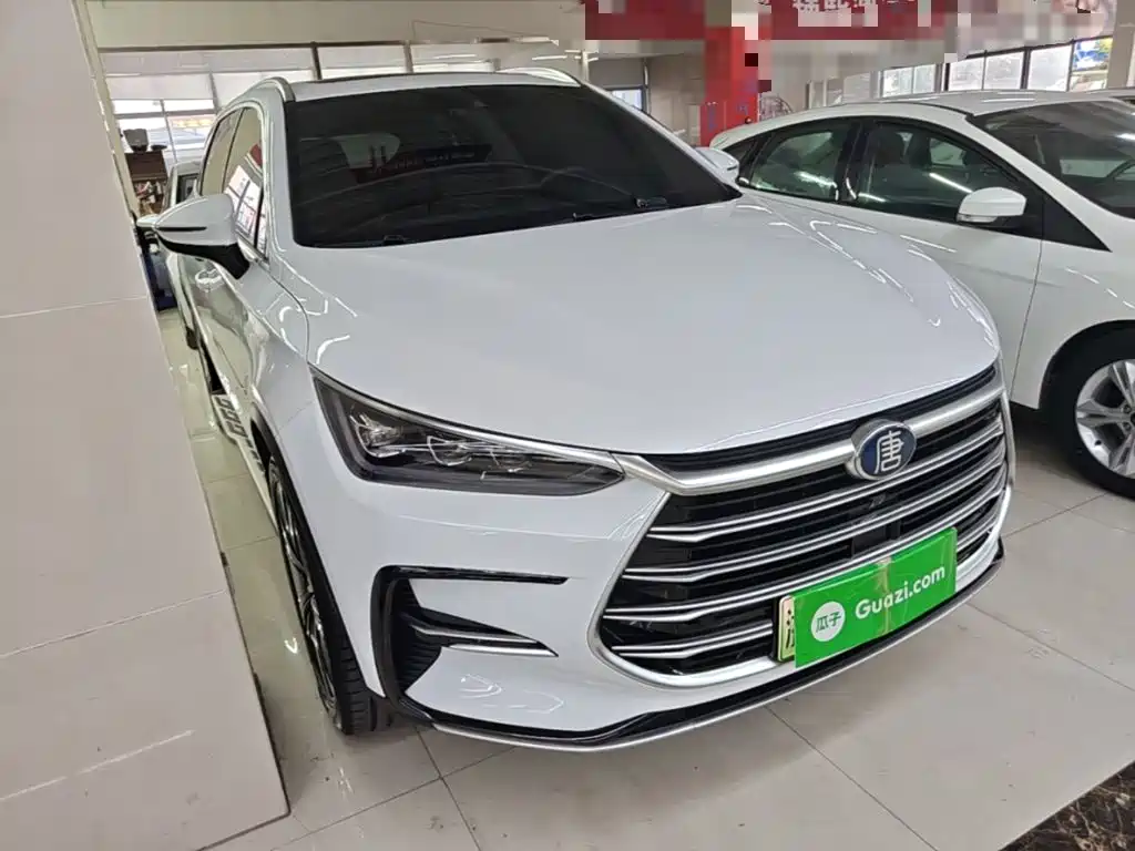 BYD Tang New Energy — миниатюра 4
