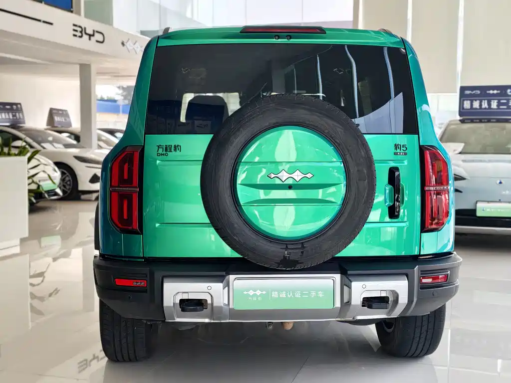 Fangchengbao Leopard 5 Navigator Edition, фото 4