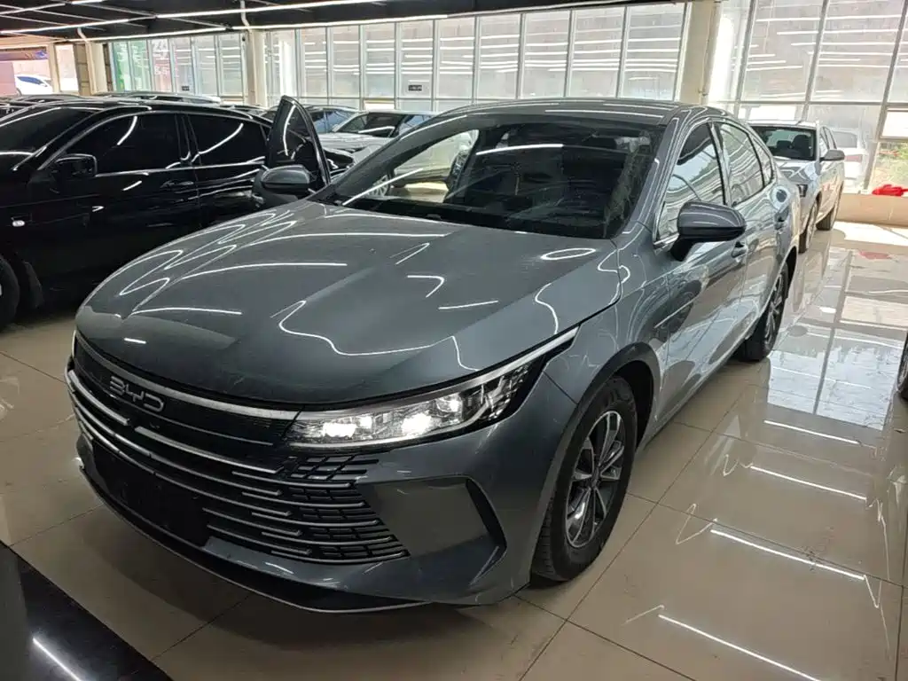 BYD Destroyer 05 2023 Champion DM-i 55KM Luxury