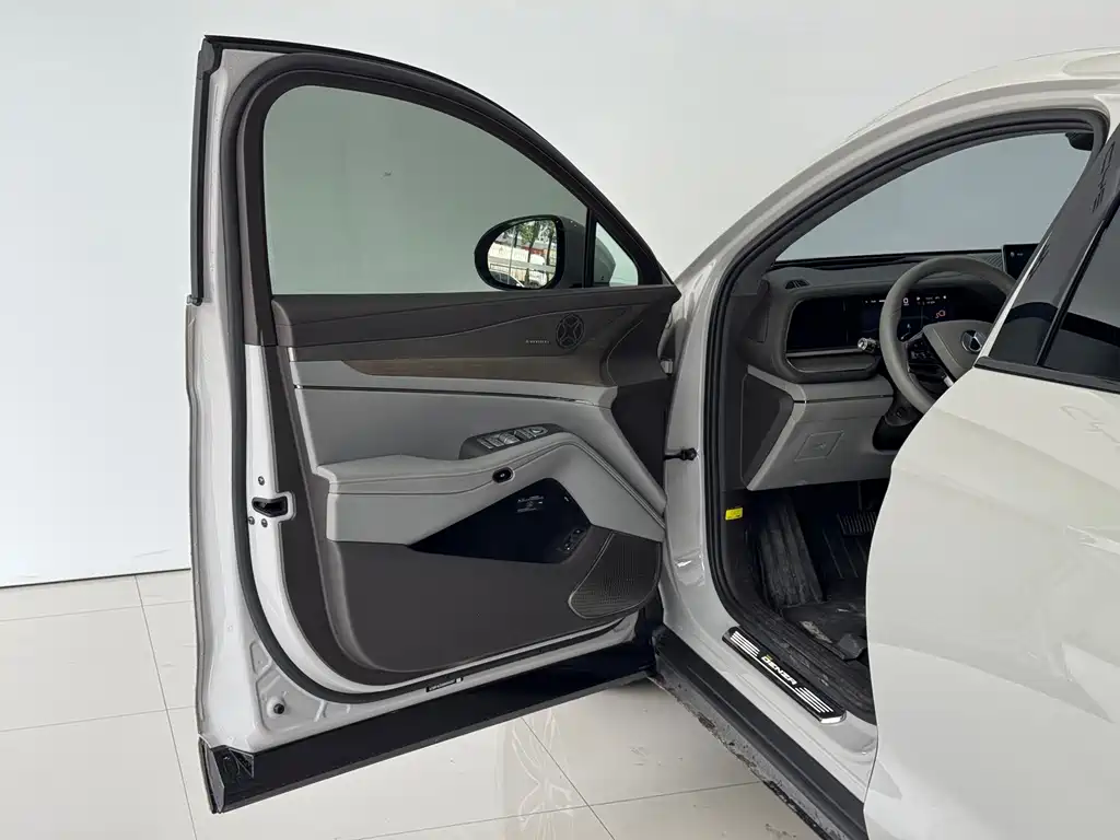 Denza Denza N7 — миниатюра 14