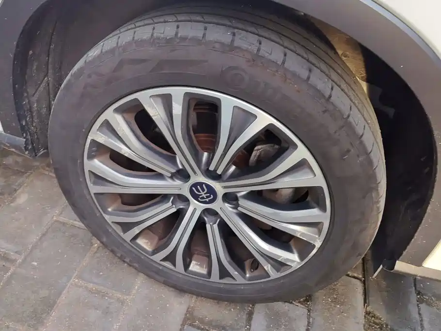 BYD Pro New Energy — миниатюра 6