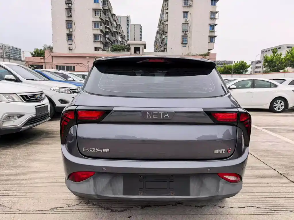 Neta Neta V — миниатюра 9