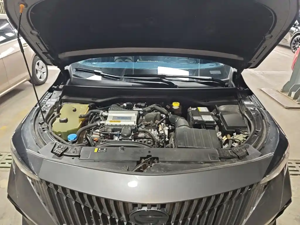 GAC Motor Trumpchi GS3 — миниатюра 20