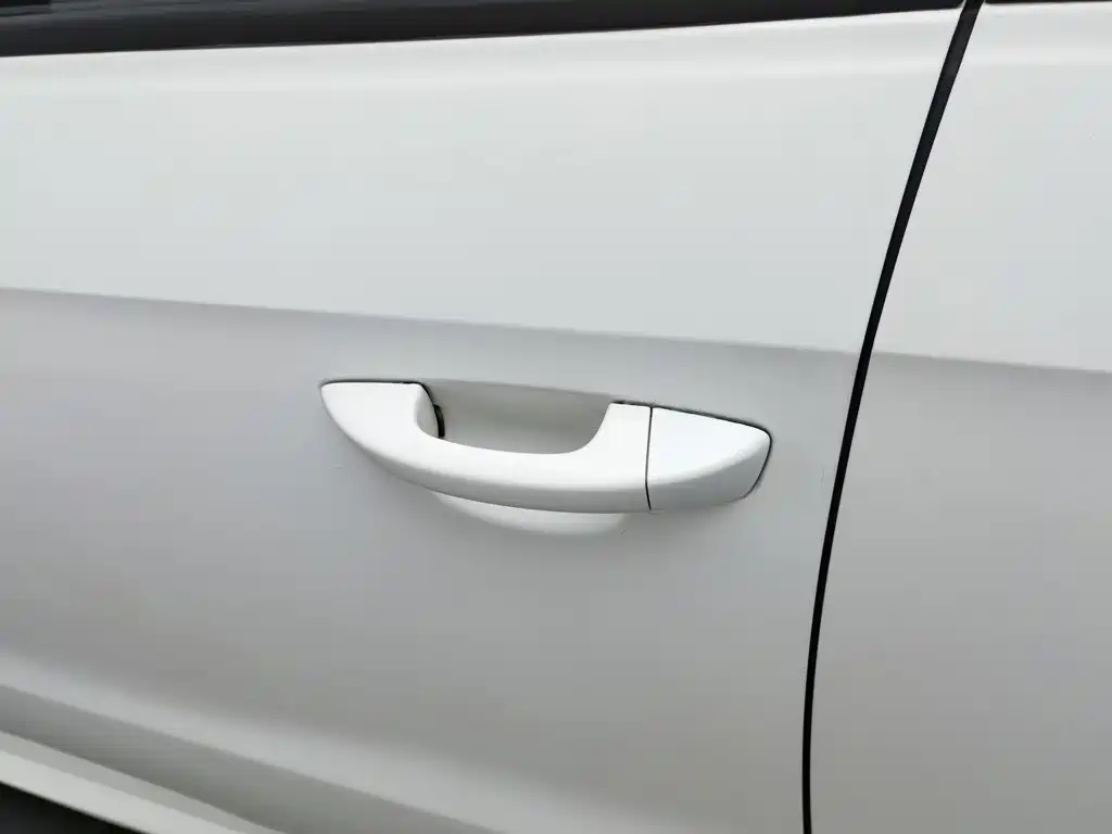 Volkswagen Gran Lavida — миниатюра 18