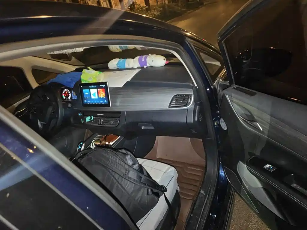 BYD MAX New Energy — миниатюра 18