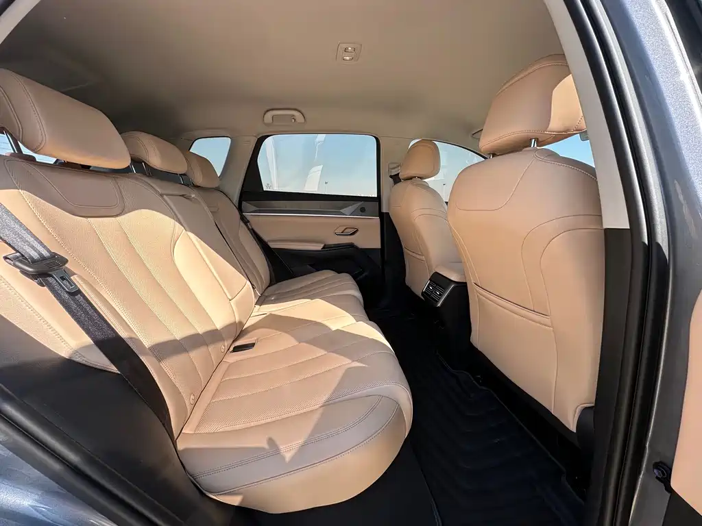 BYD Pro New Energy — миниатюра 13