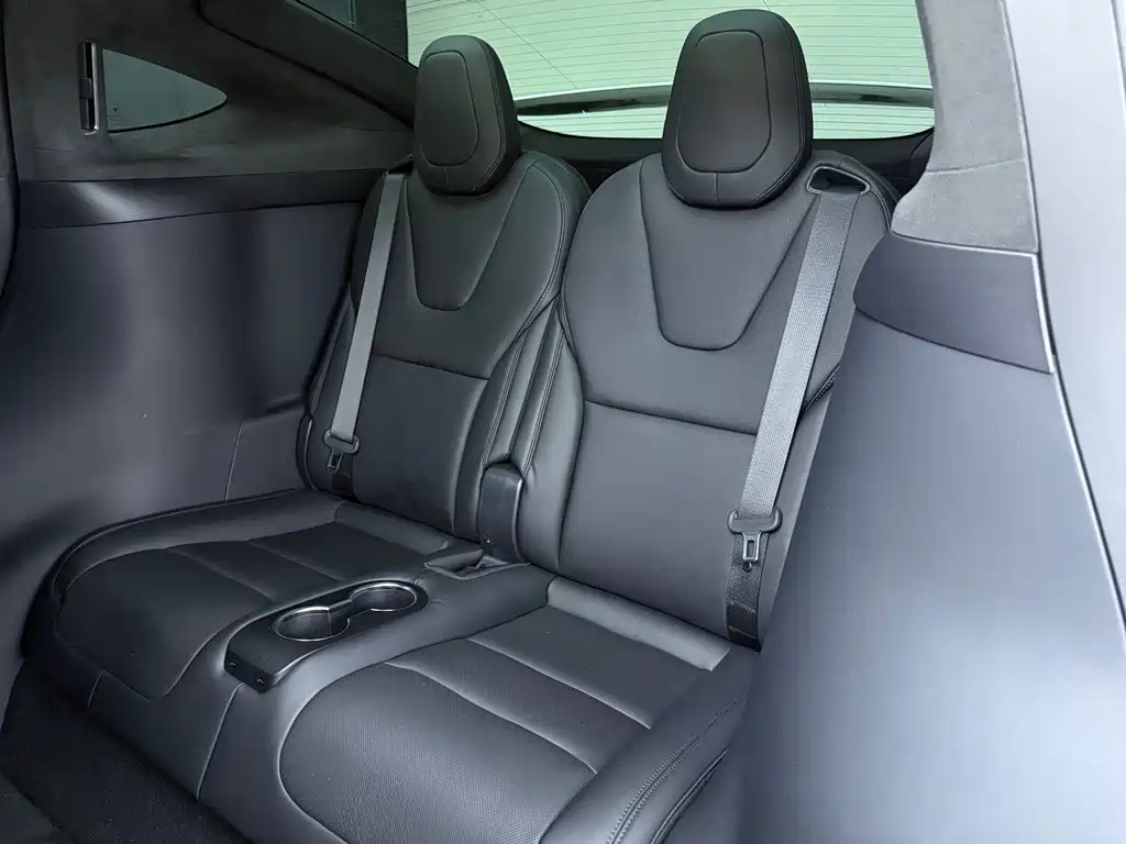 Tesla Model X — миниатюра 7
