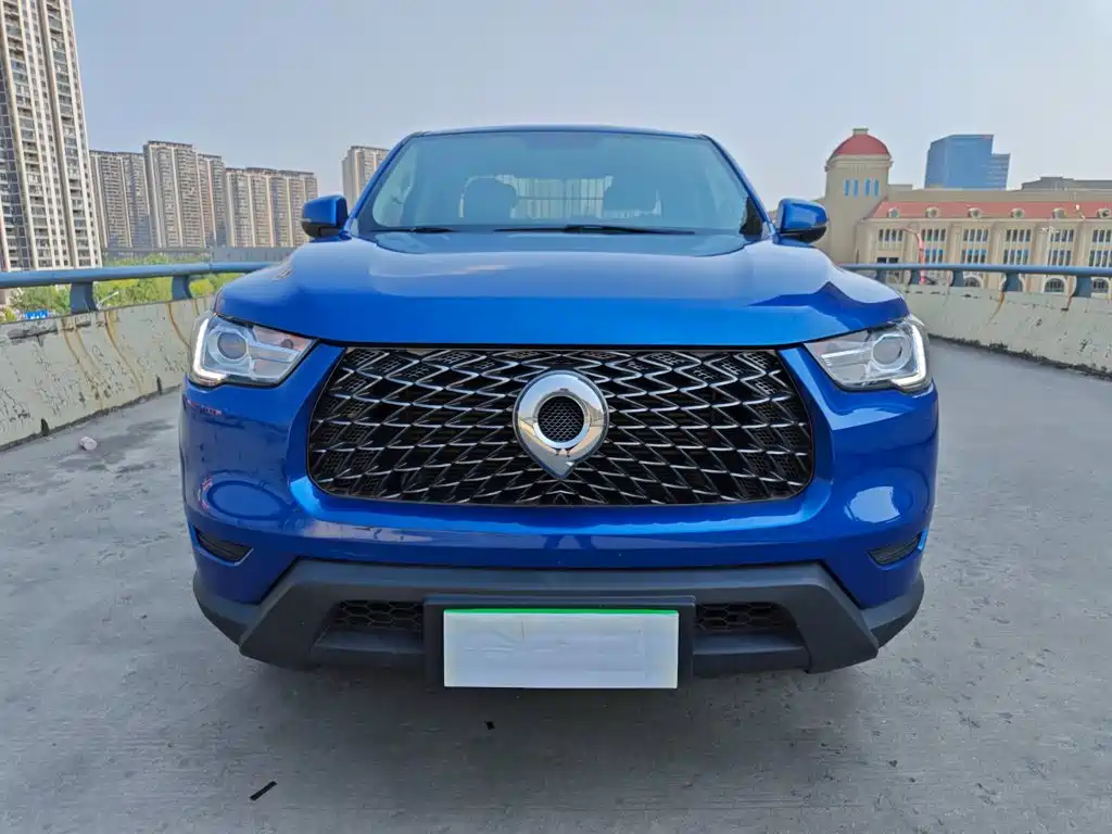 Great Wall Pao — миниатюра 2