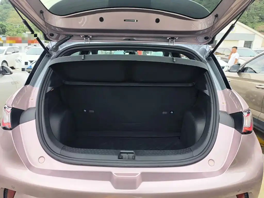 BYD Dolphin — миниатюра 19