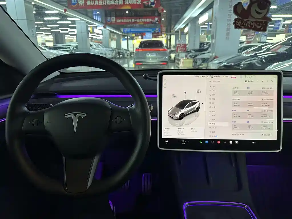 TESLA MODEL Y