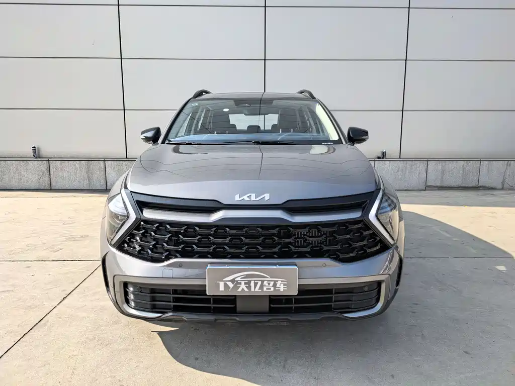 KIA LION PLATINUM EXPANDS THE WORLD