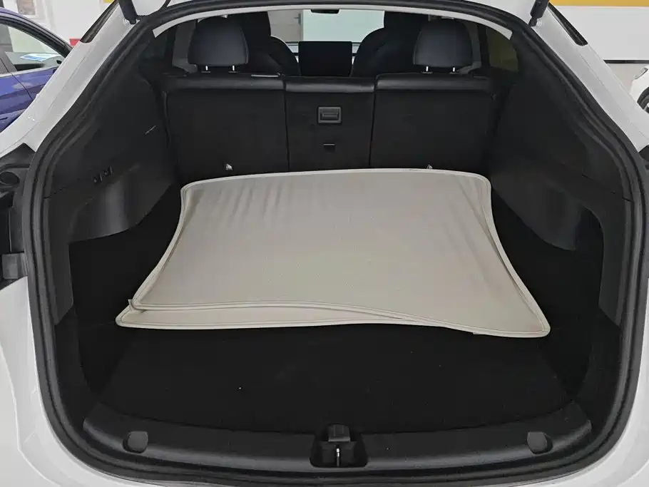Tesla Model Y — миниатюра 4