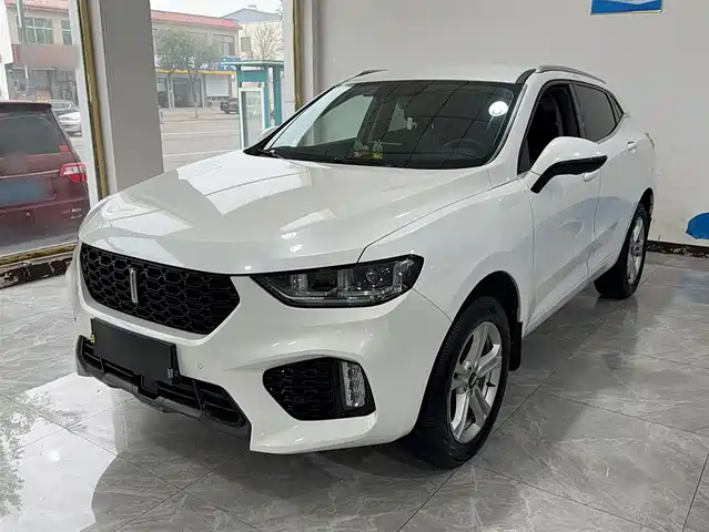 WEI PAI WEI BRAND VV5 2019