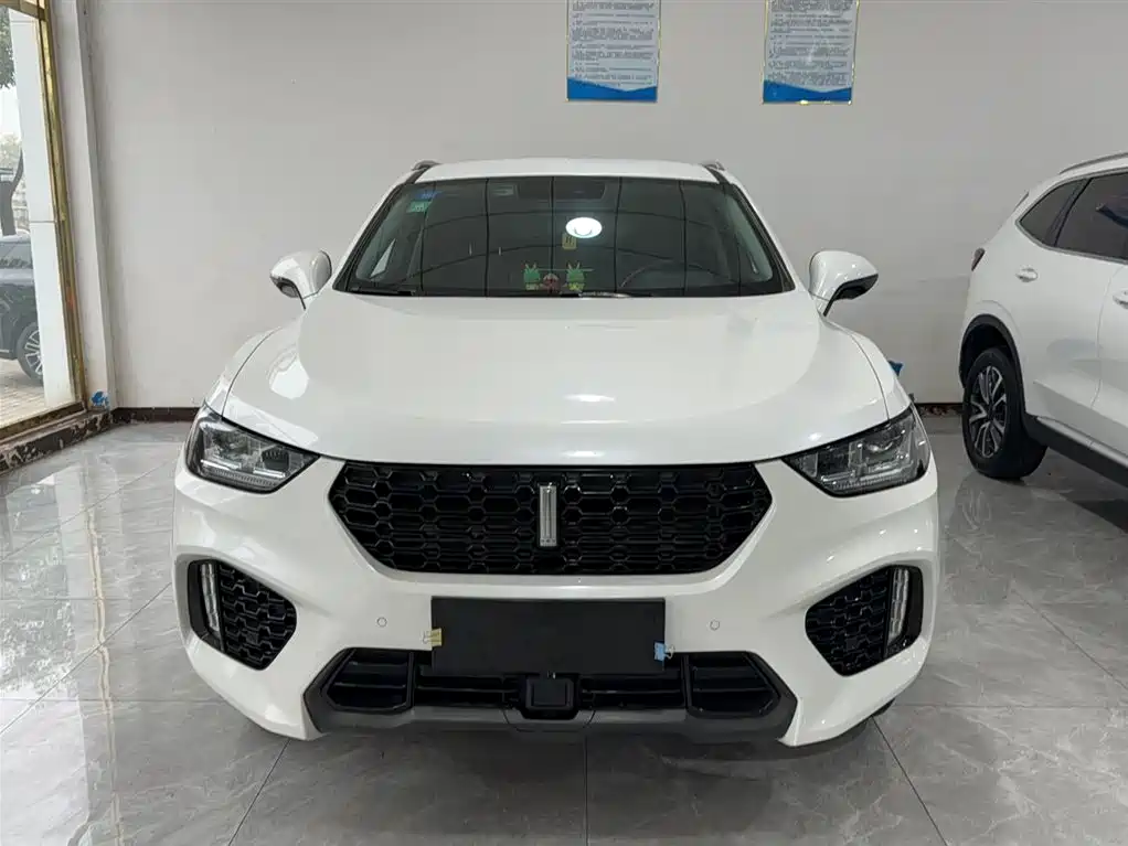 WEI PAI WEI BRAND VV5