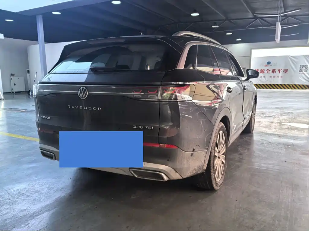 Volkswagen Tavendor — миниатюра 7