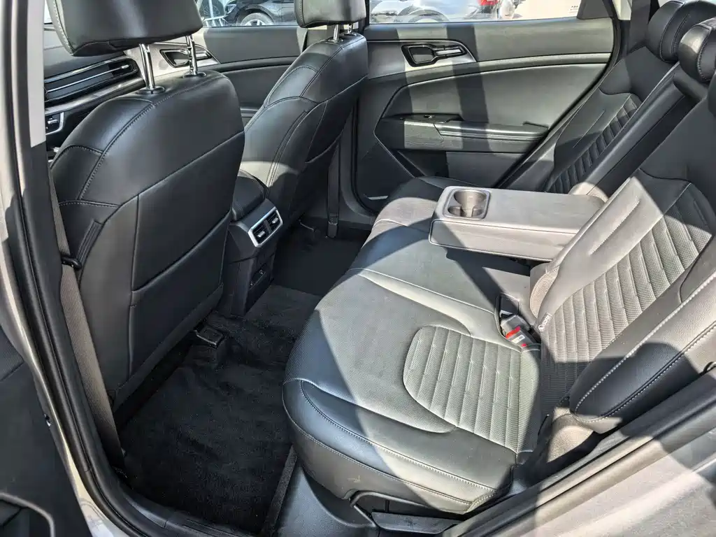 KIA LION PLATINUM EXPANDS THE WORLD