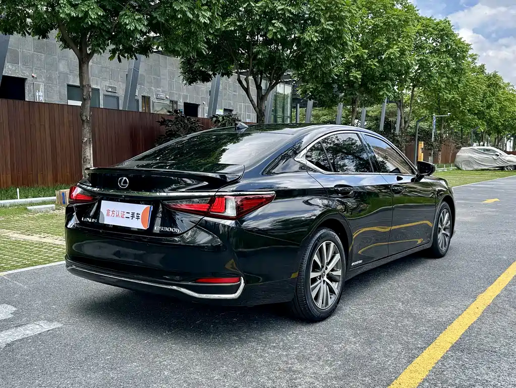 Lexus ES 2018 260 VI