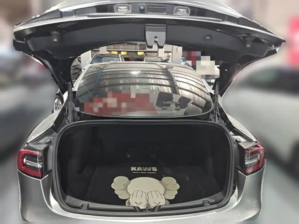 Tesla Model 3 — миниатюра 24