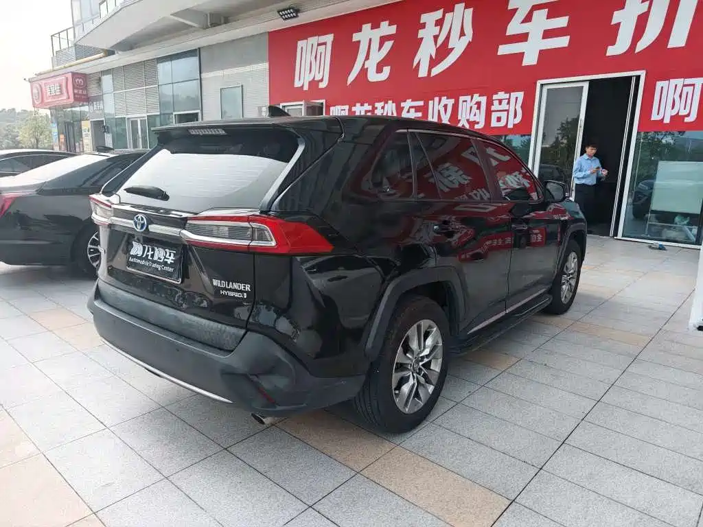 Toyota Wildlander — миниатюра 8