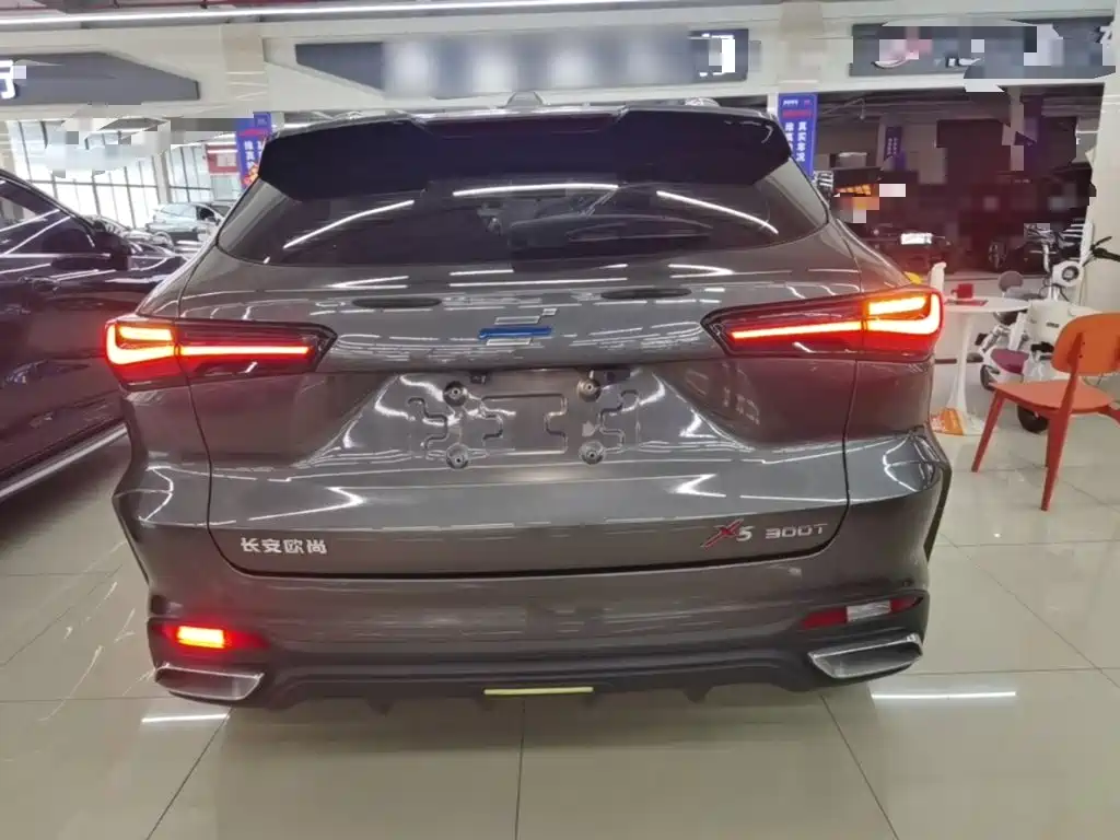 Oshan Oushang X5 — миниатюра 6