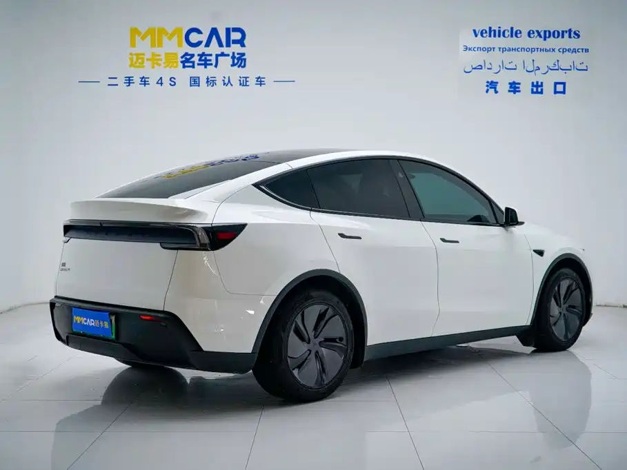 Tesla Model Y — миниатюра 3
