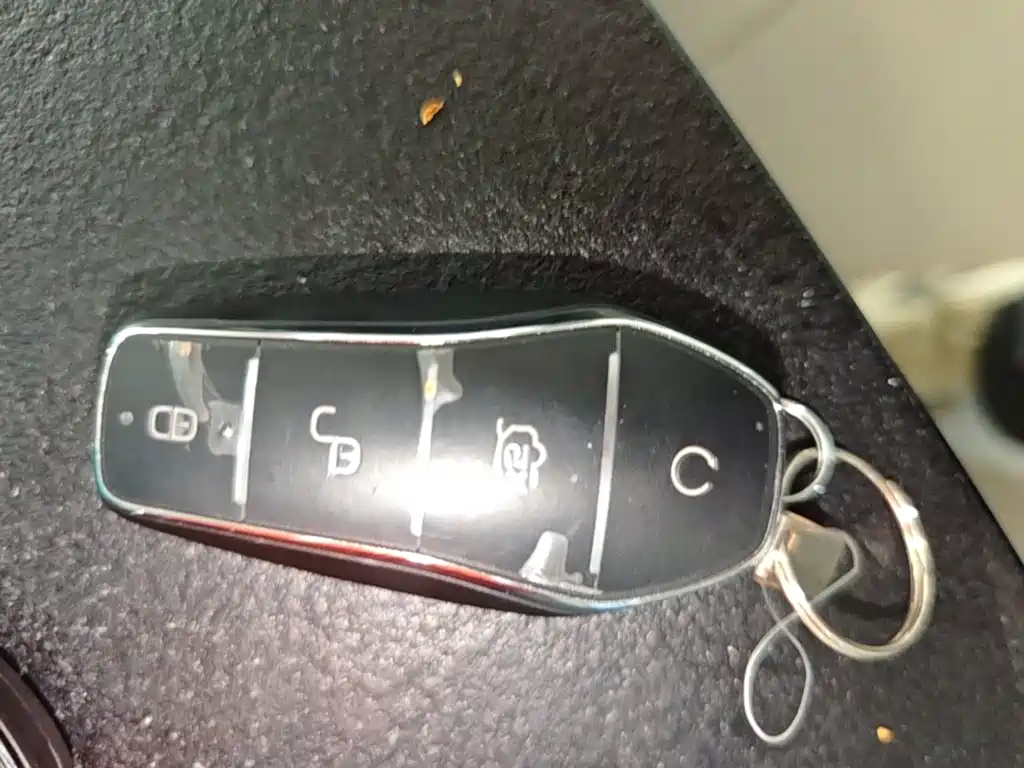 BYD Дон Л. — миниатюра 9