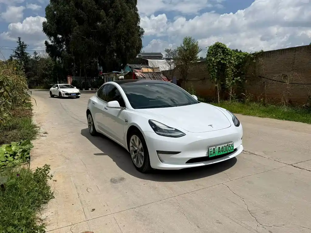 Tesla Model 3 — миниатюра 3