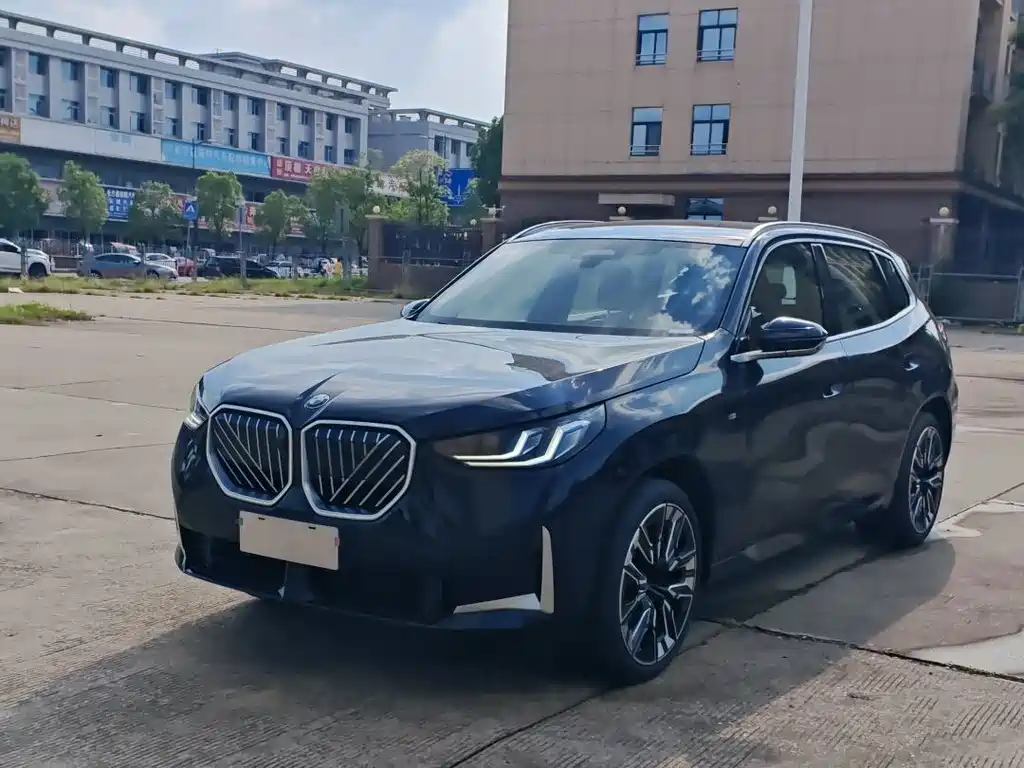 BMW X3 — миниатюра 2