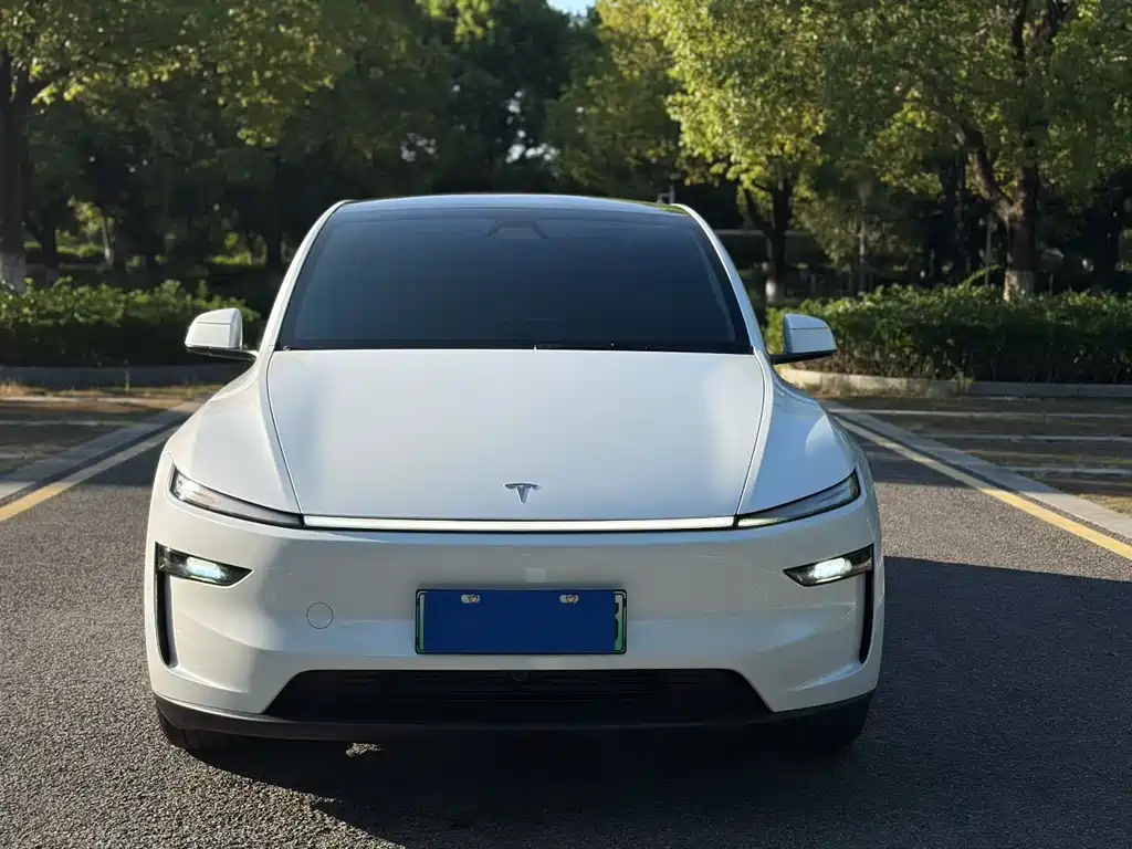 Tesla Model Y — миниатюра 2