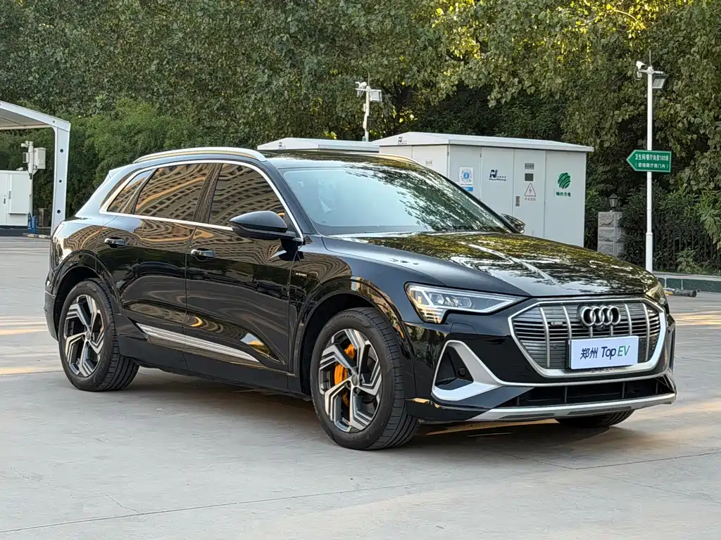 Audi e-tron — миниатюра 3