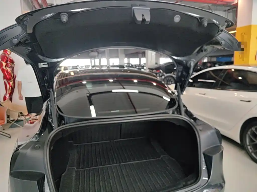 Tesla Model 3 — миниатюра 19