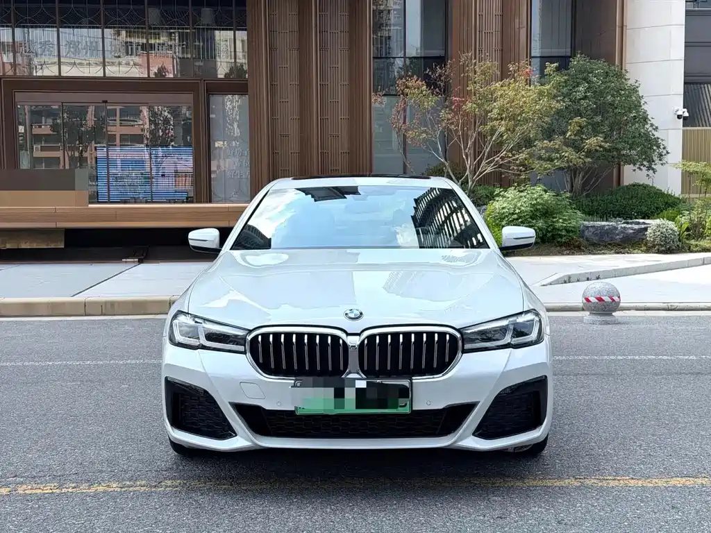 BMW 5 Series New Energy — миниатюра 2