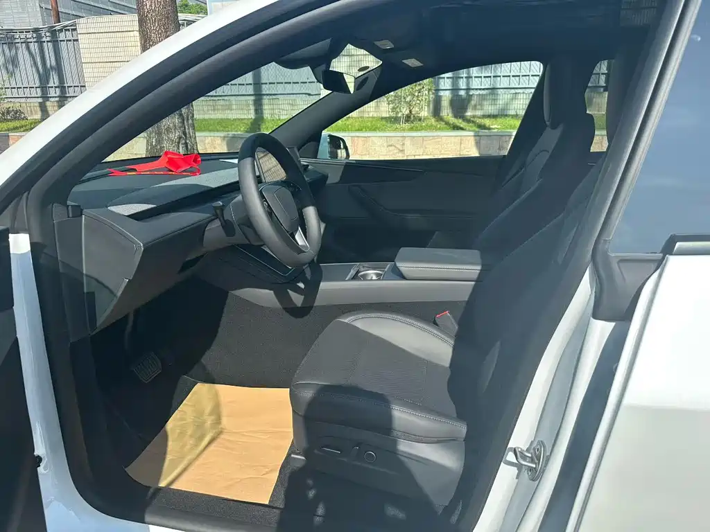 Tesla Model Y — миниатюра 4