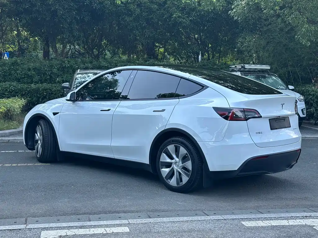 Tesla Model Y — миниатюра 6