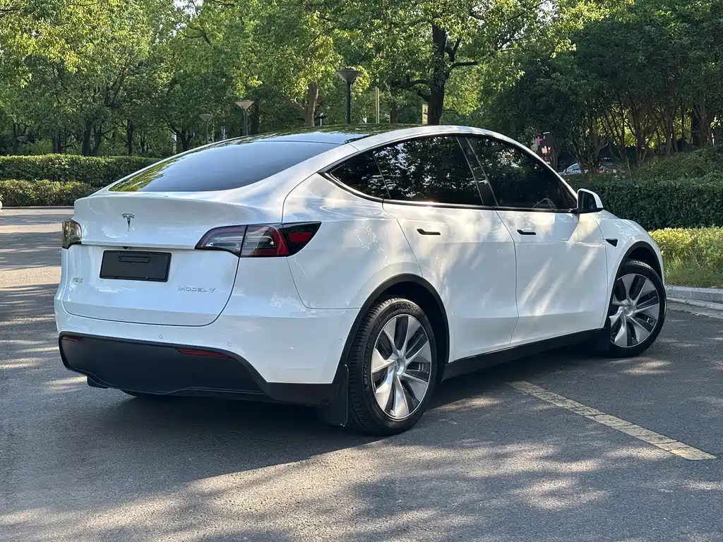 Tesla Model Y — миниатюра 8