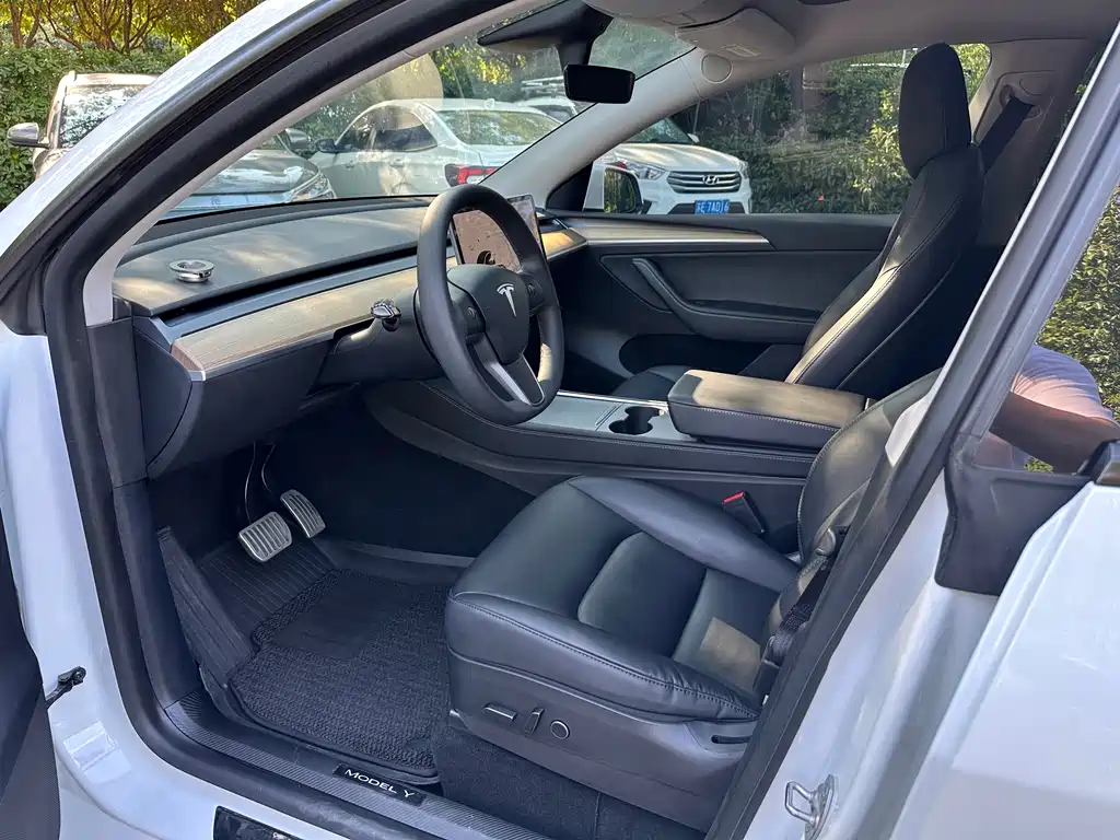 Tesla Model Y — миниатюра 9