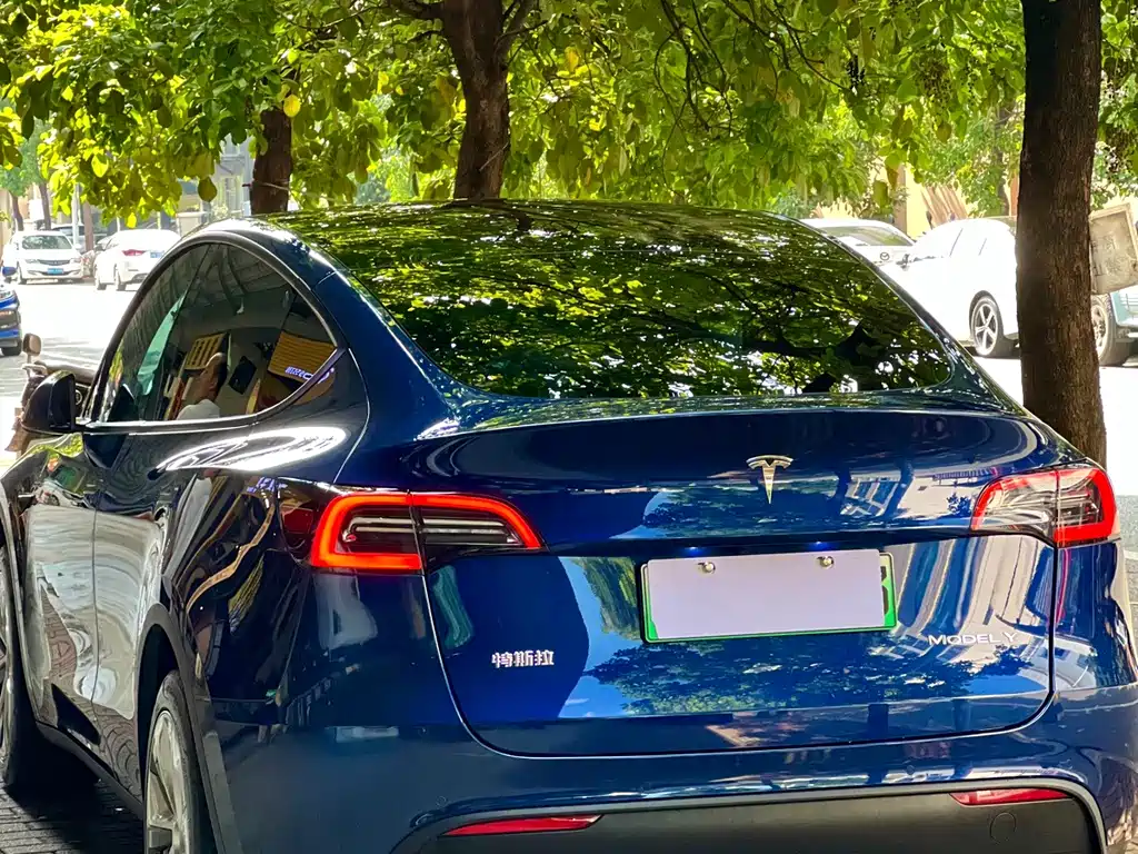 Tesla Model Y — миниатюра 3