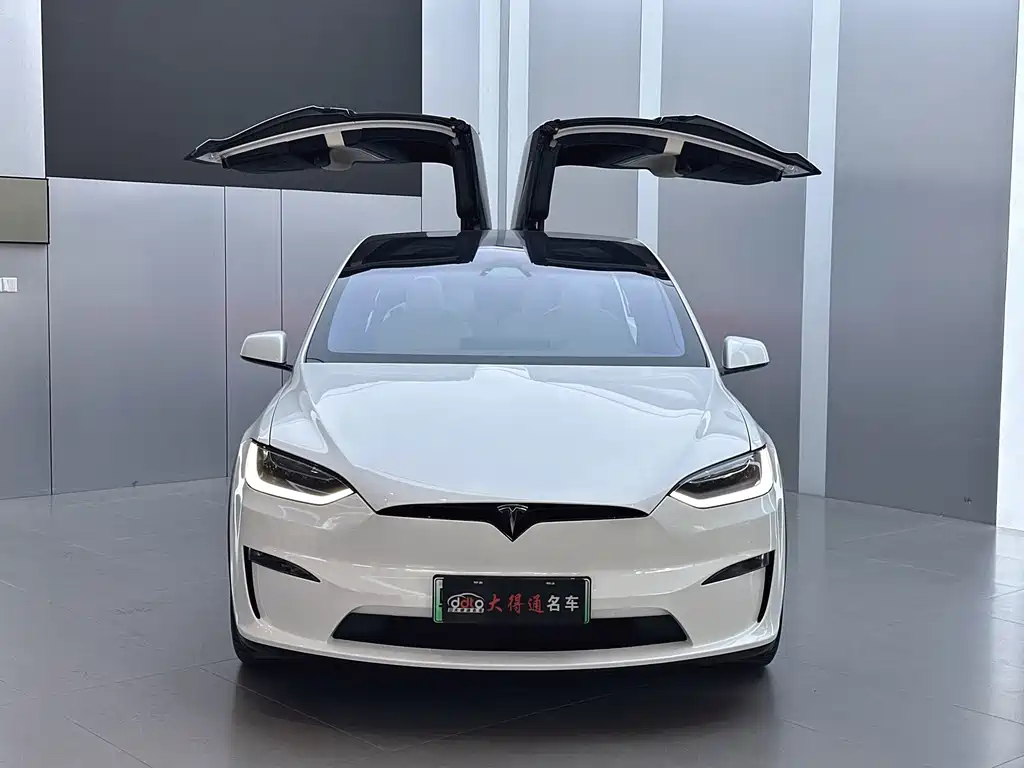 Tesla Model X — миниатюра 2