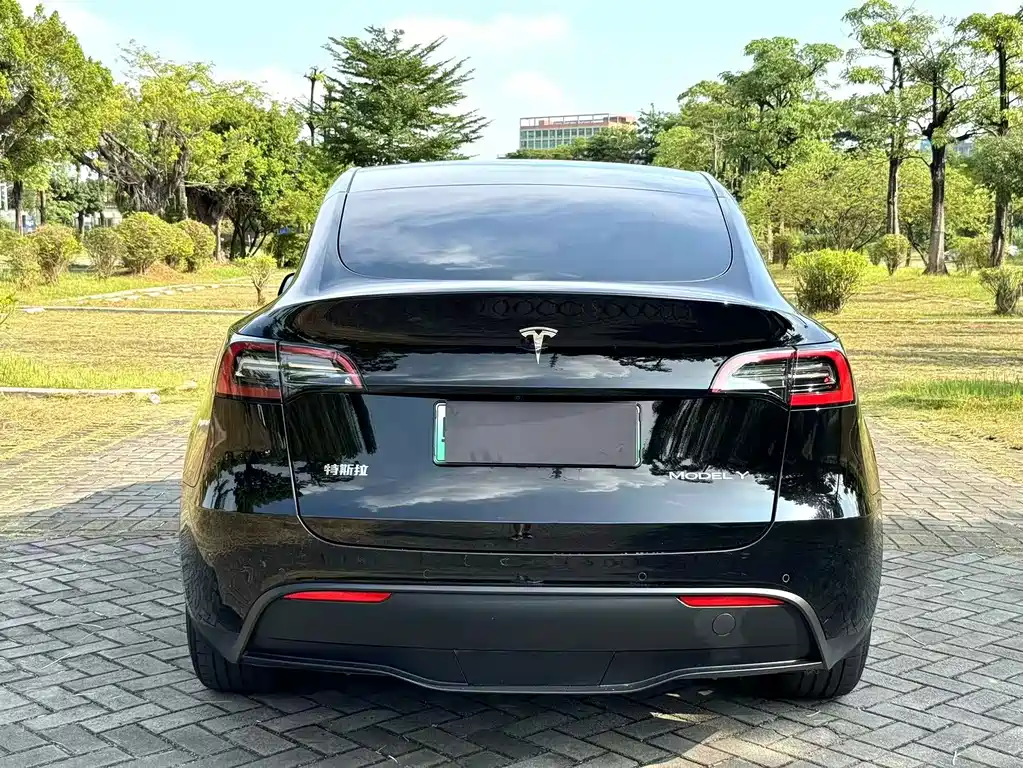 Tesla Model Y — миниатюра 9