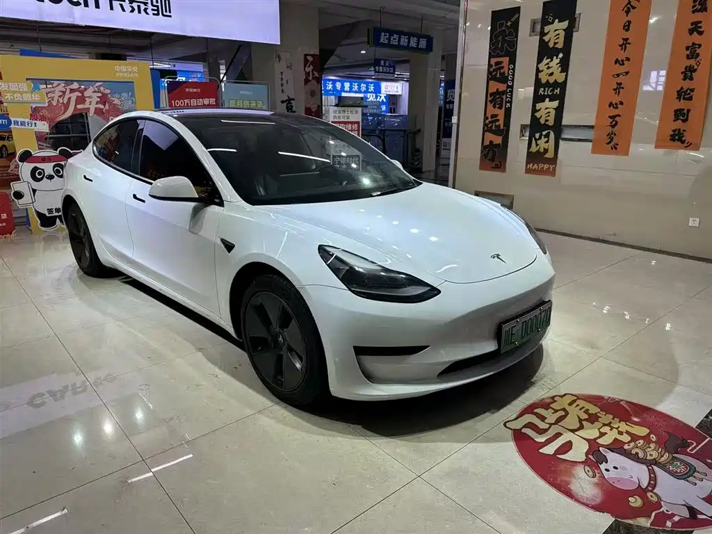 Tesla Model 3 2021 3D6