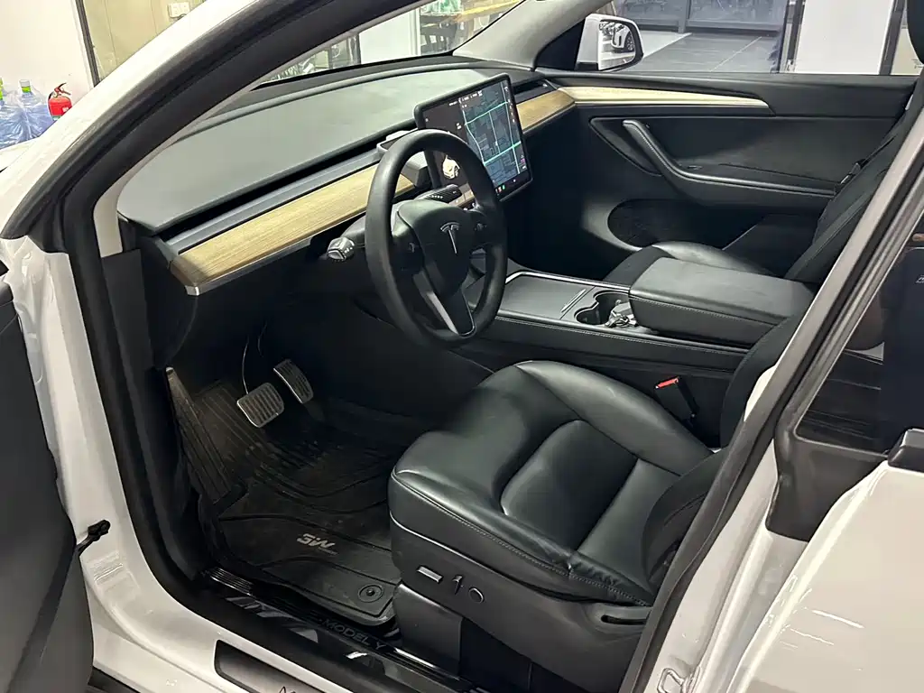 Tesla Model Y — миниатюра 3