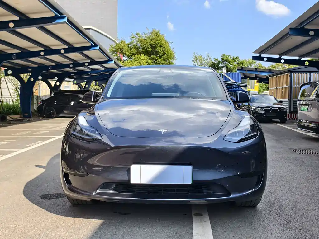 Tesla Model Y — миниатюра 2