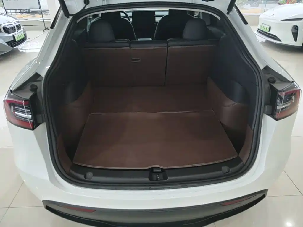 Tesla Model Y — миниатюра 19