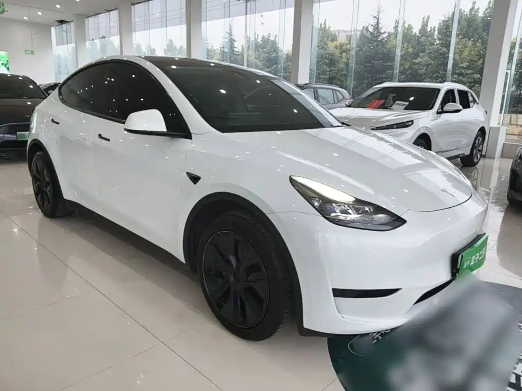 Tesla Model Y — миниатюра 4