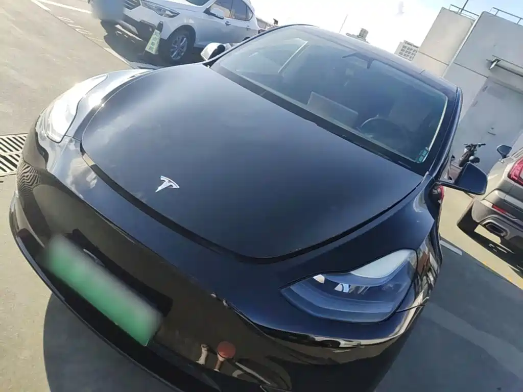 Tesla Model Y — миниатюра 2