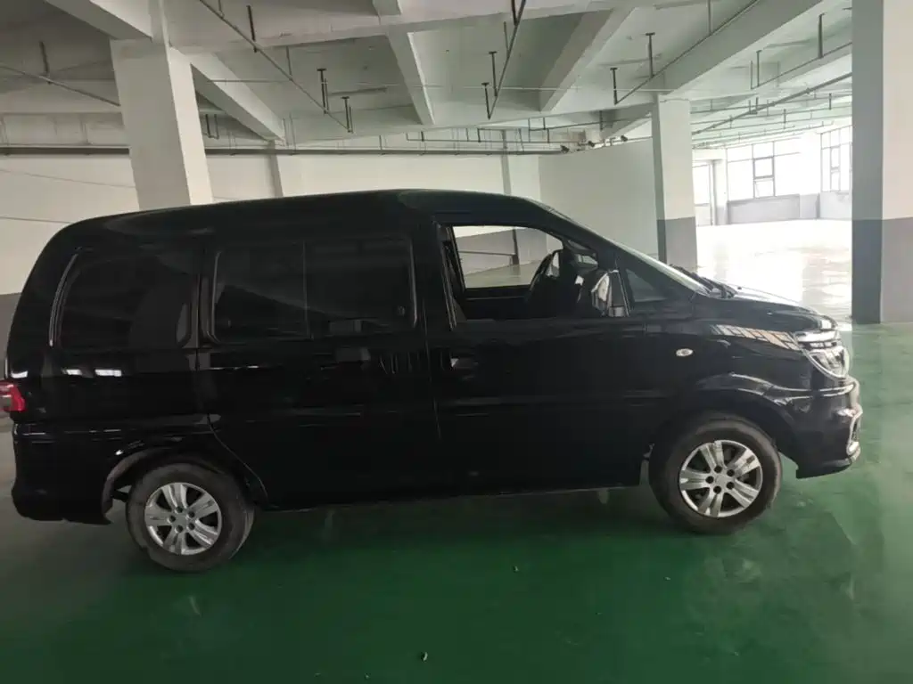 Fengxing Lingzhi — миниатюра 26